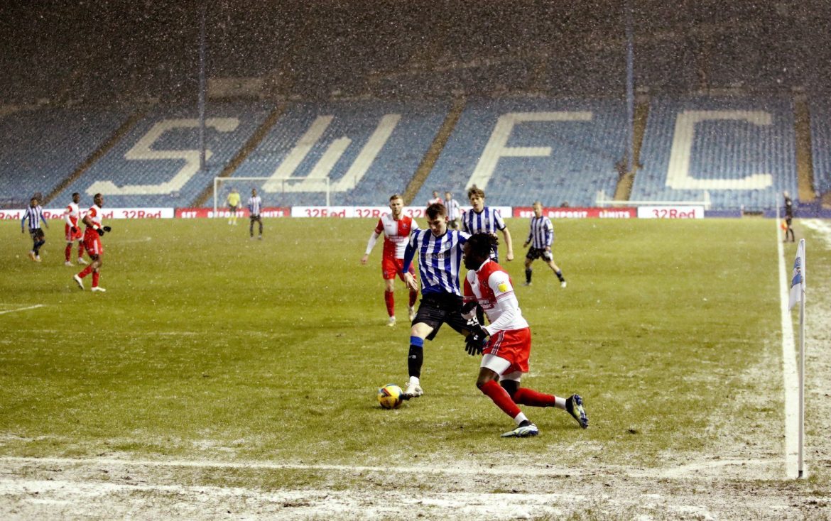 Sheffield Wednesday: Fans discuss Chansiri